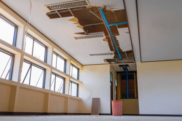 Best Professional water damage repair  in Candlewick Lake, IL