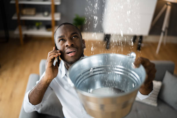 Best Emergency water damage restoration  in Candlewick Lake, IL