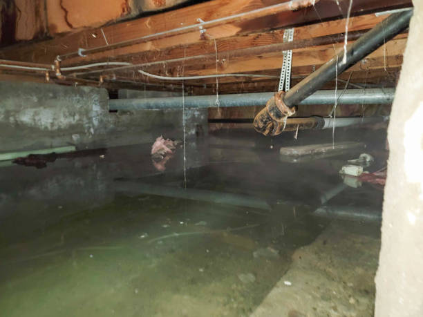 24/7 water damage repair in IL