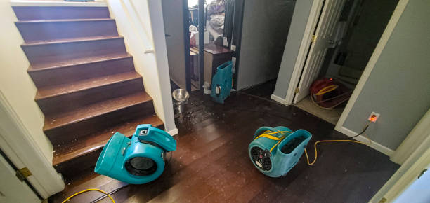 Best Commercial water damage restoration  in Candlewick Lake, IL