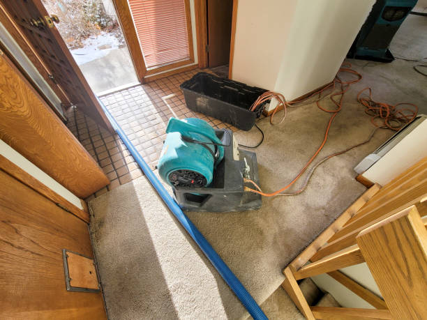 Best 24/7 water damage repair  in Candlewick Lake, IL