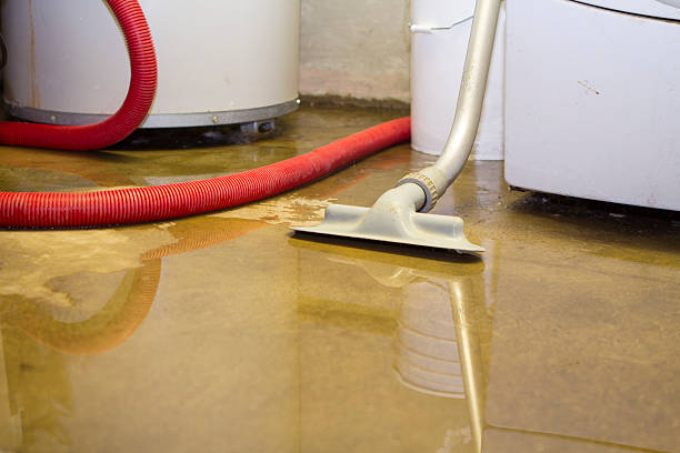 Best Water damage restoration near me  in Candlewick Lake, IL