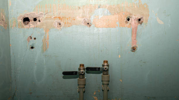 Best Basement water damage restoration  in Candlewick Lake, IL
