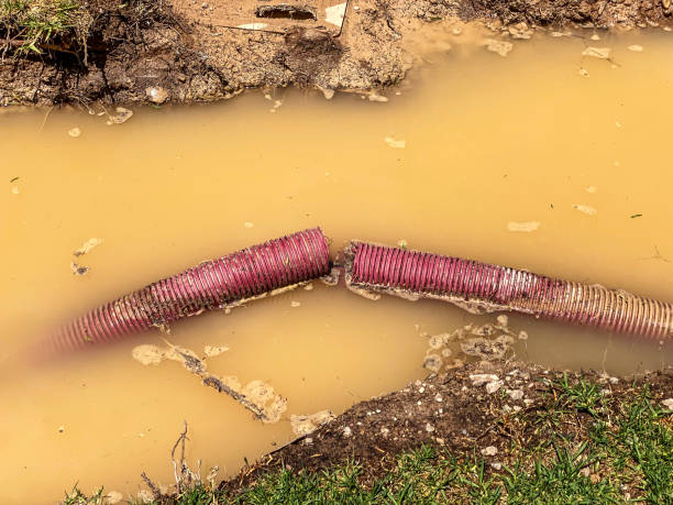 Best Commercial water damage restoration  in Candlewick Lake, IL