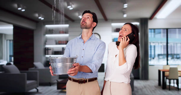 Best Carpet water damage restoration  in Candlewick Lake, IL