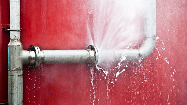 Best Flood damage cleanup  in Candlewick Lake, IL