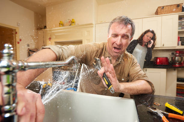 Best Fire Damage Restoration  in Candlewick Lake, IL